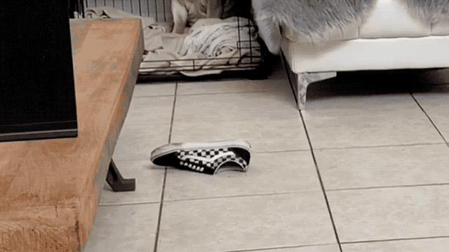 怎么辨别vans鞋真假,如何鉴定vans鞋