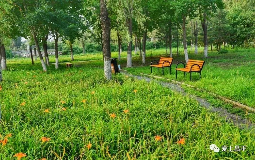 昌平风景区游玩攻略图,北京昌平十大必去的旅游景点推荐