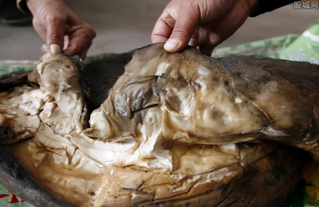 捡到200多斤的太岁能卖多少钱,1斤能卖150万的太岁