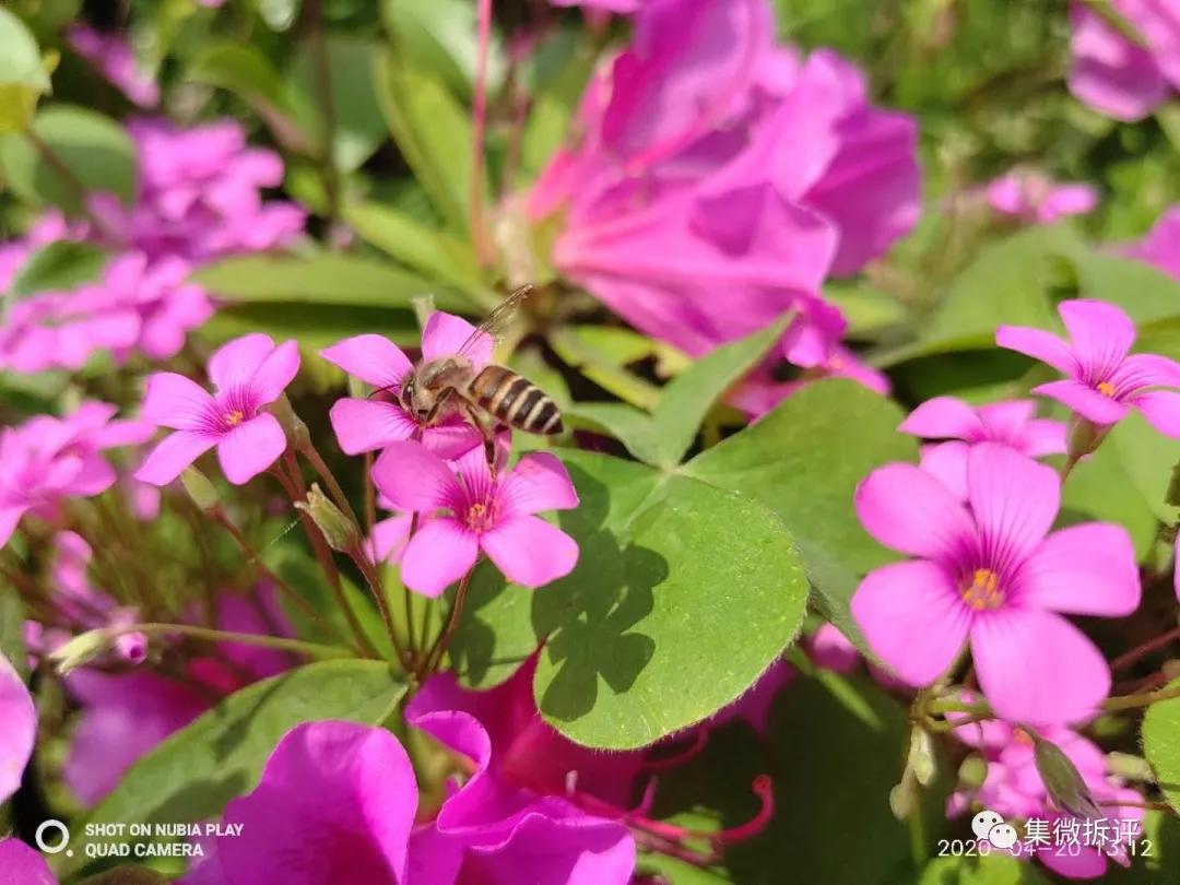 努比亚play和红米note10pro哪个好,努比亚play详细细节测评