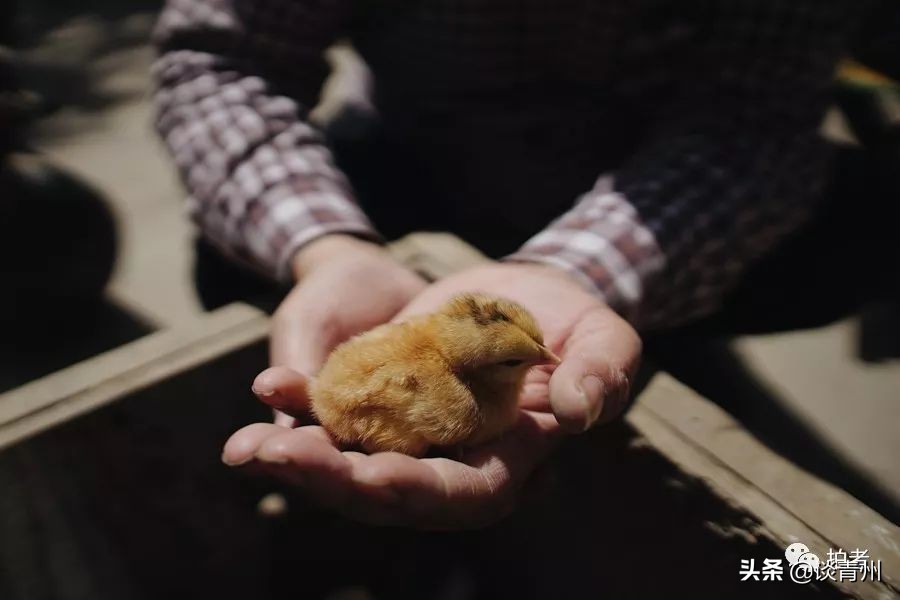 大衣哥朱之文买新车引围观,大衣哥朱之文被农民围观