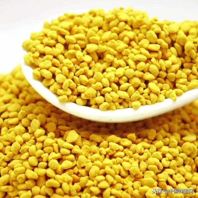 养蜂人骗局揭秘,养蜂人卖蜂蜜的内幕