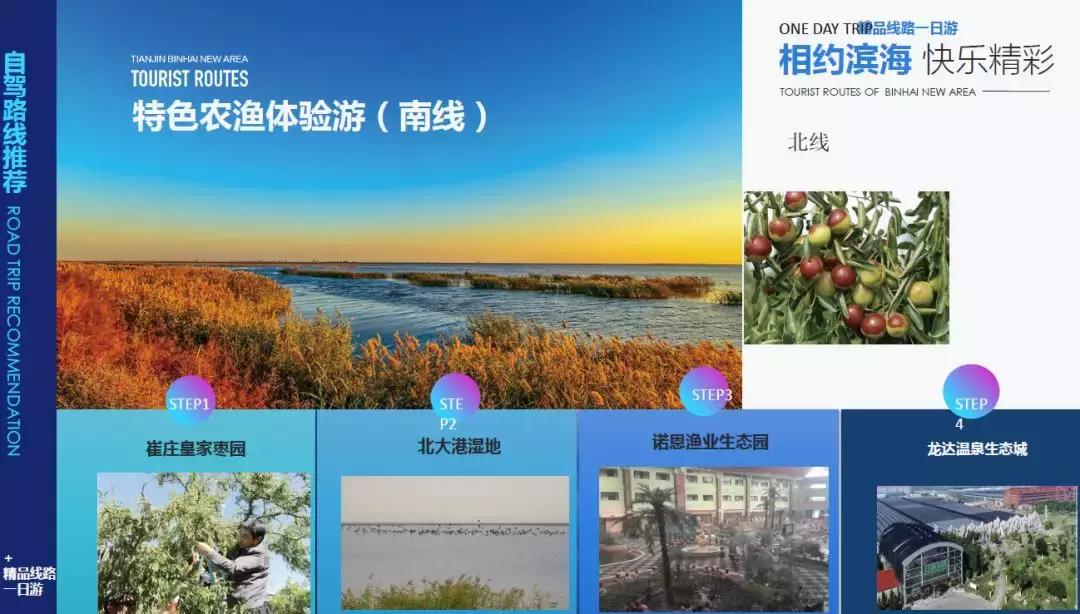 天津哪里看海最美,天津看海旅游攻略第一名