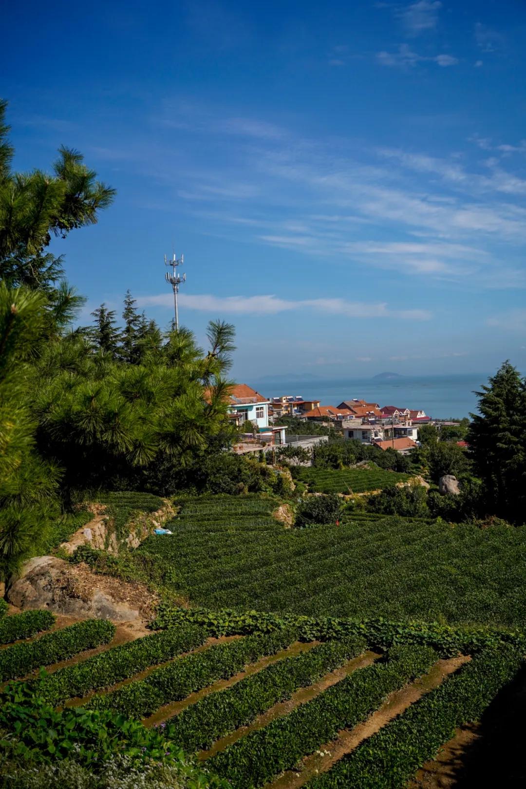 春天登山正确打开方式！这些藏在深处的秘境、美宿、茗茶在等着你！