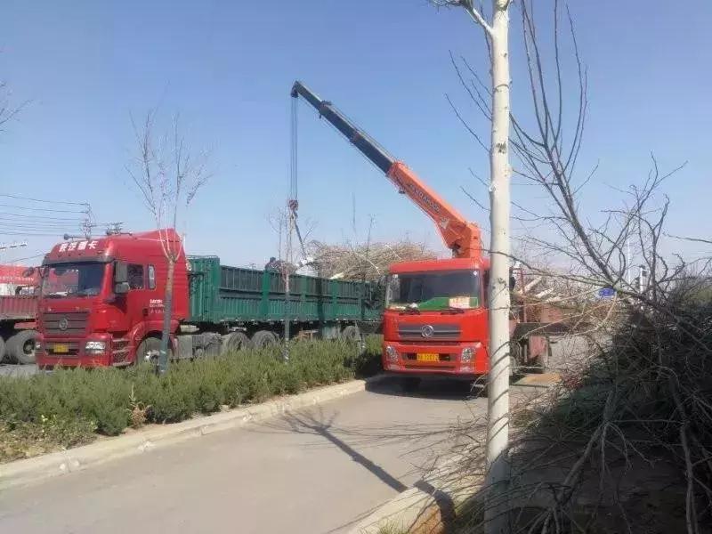 一篇文章搞懂全部文言文,管南神盘