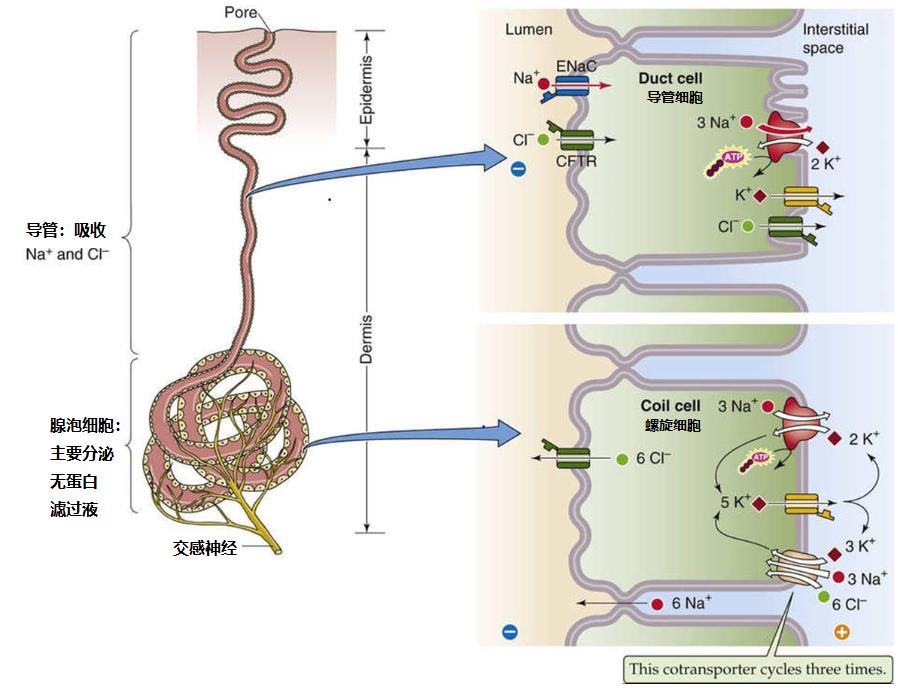 男人味到底是什么意思,男人味的十大特征