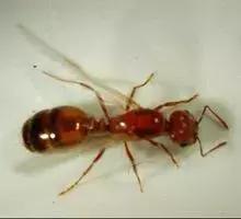 只因在草丛中被你咬一口，再也没能忘掉那感受