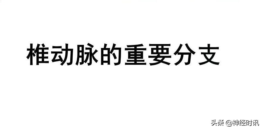 脑动脉解剖学讲解,脑膜中动脉解剖讲解