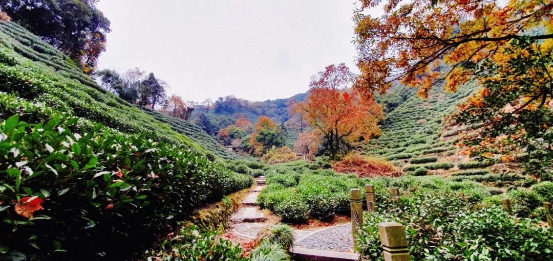 推荐秋冬毛衣高领,秋冬必备毛衣推荐