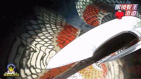 珠海室内一日游最佳景点,珠海市一日游景点推荐