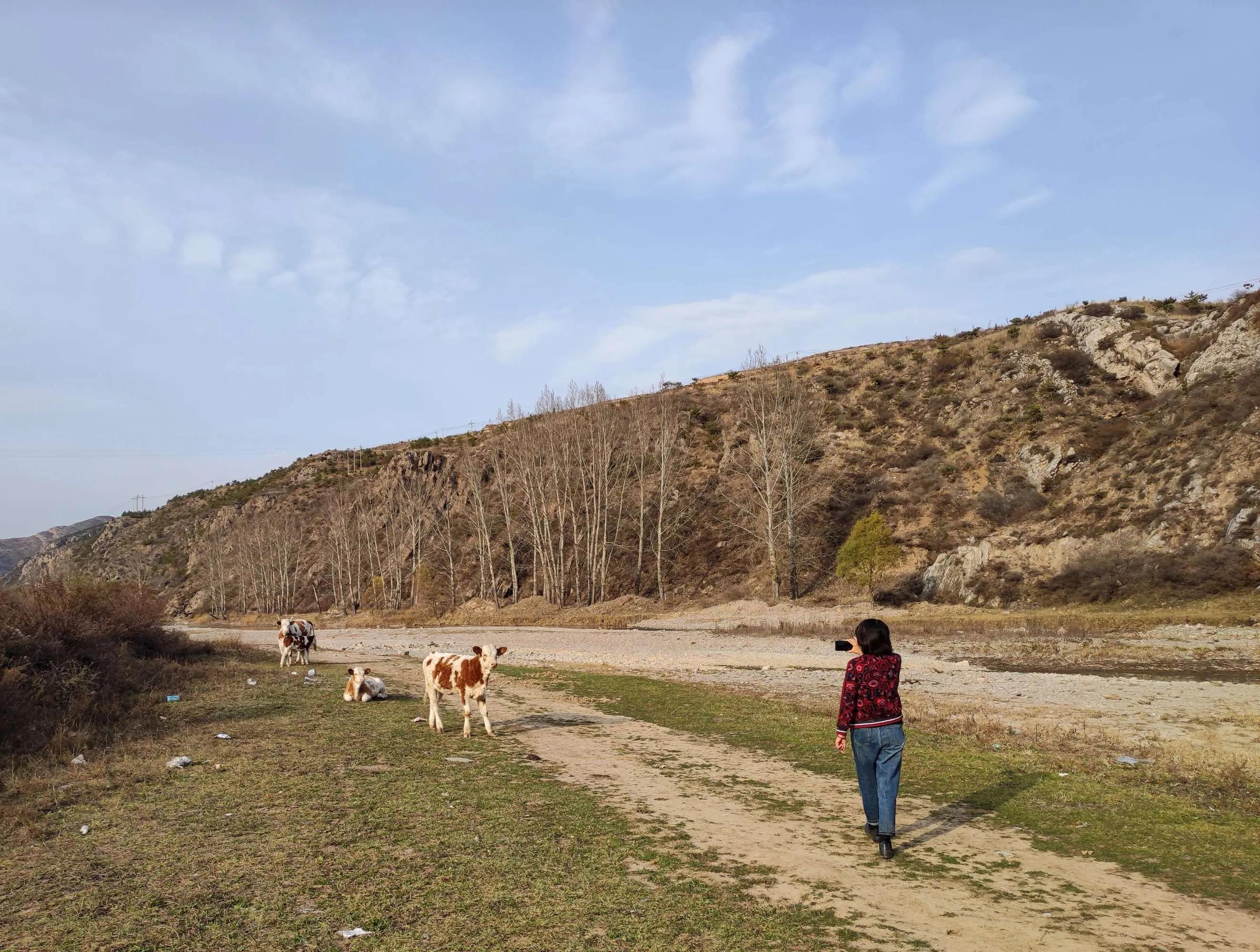 山西汾河源头自驾游,娄烦汾河一库自驾游攻略