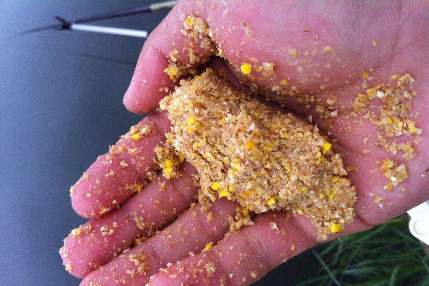 去水库钓鱼怎么钓才会爆护,春季水库钓鲈鱼用什么饵最好