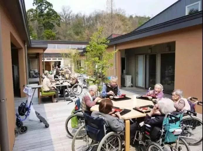 为什么日本没有婆媳矛盾,为什么在日本没有复杂的婆媳关系