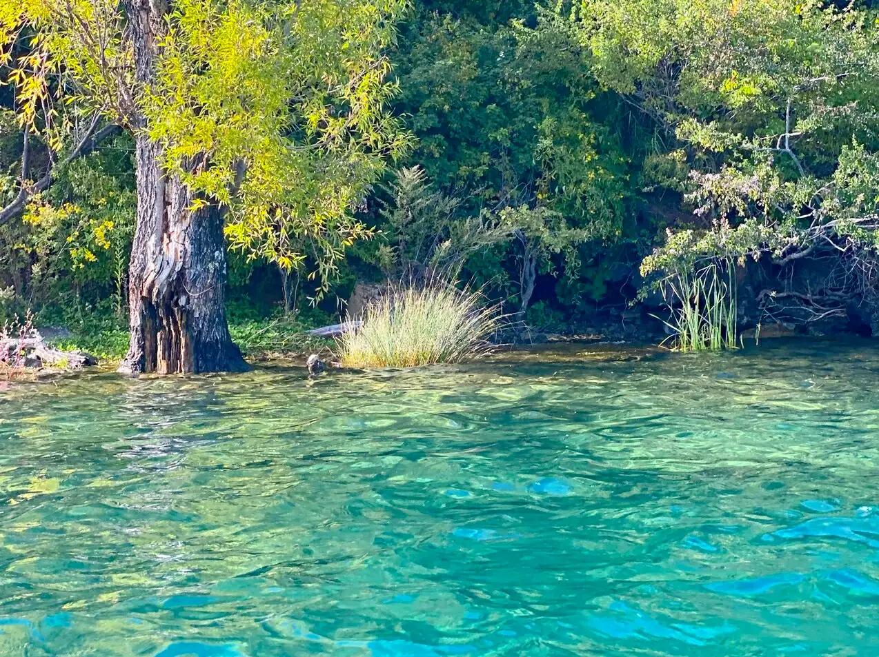 杜甫汪伦和李白,李白杜甫汪伦三人爱恨情仇