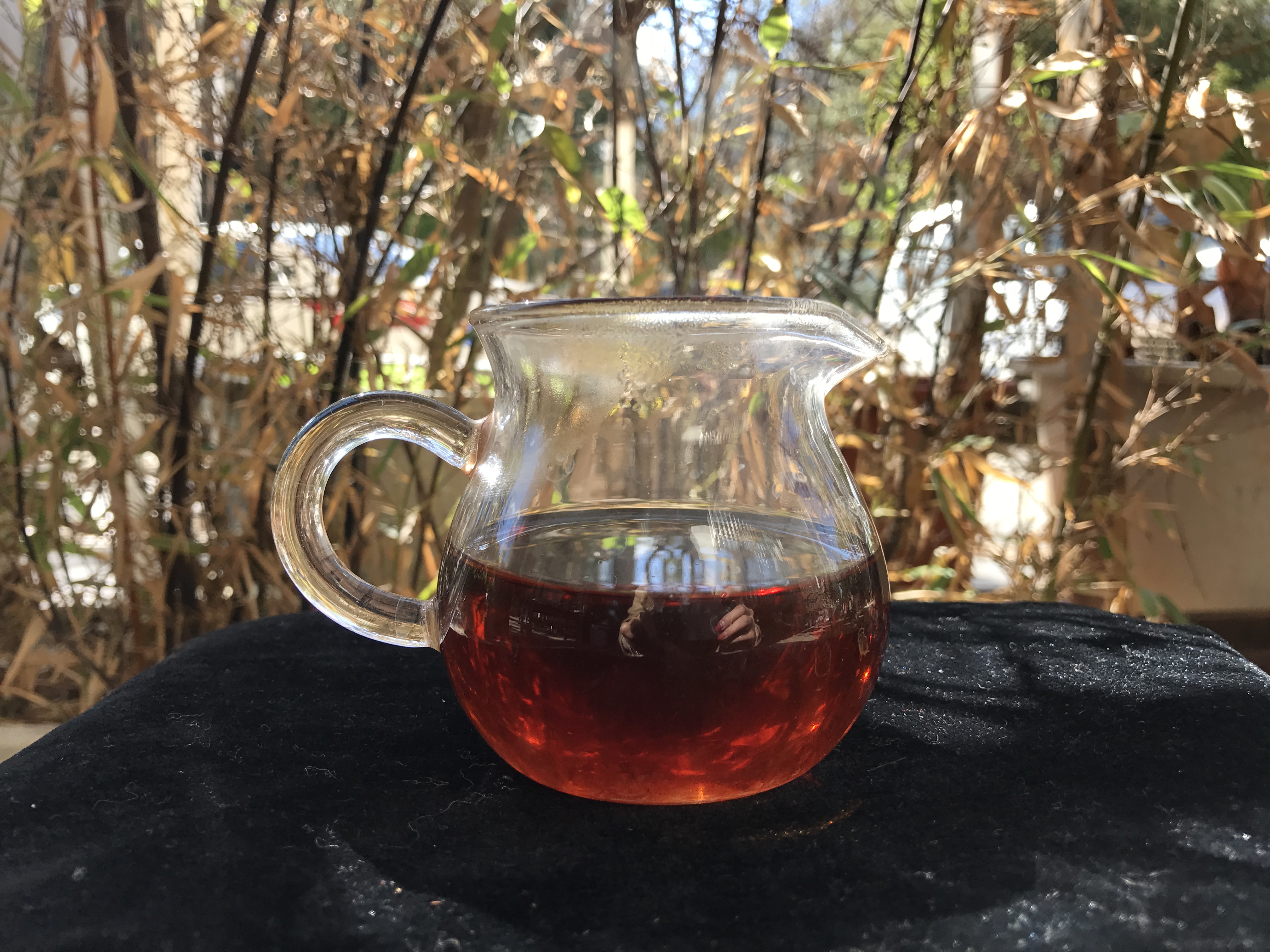 老徐鉴茶150期视频,老徐鉴茶第二十五期