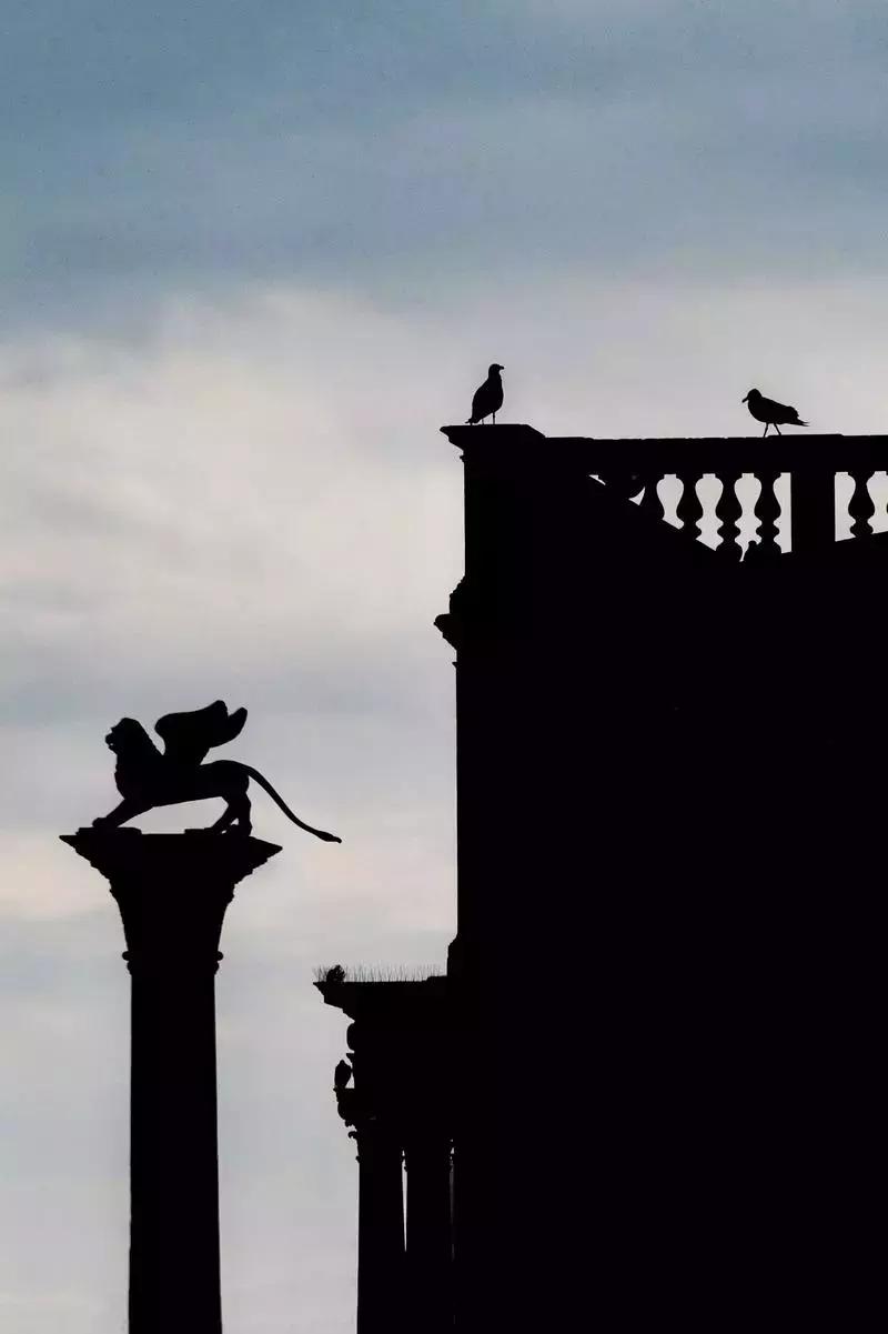 鎴戠殑鏃呮父鎽勫奖缇庡浗娓歌,鎽勫奖浣滃搧鎴戠殑鏃呰