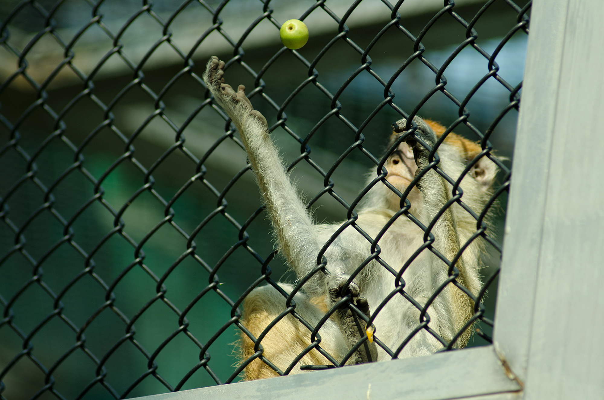 尼康d7000拍摄画面暗怎么调亮,尼康d7000和d700画质对比