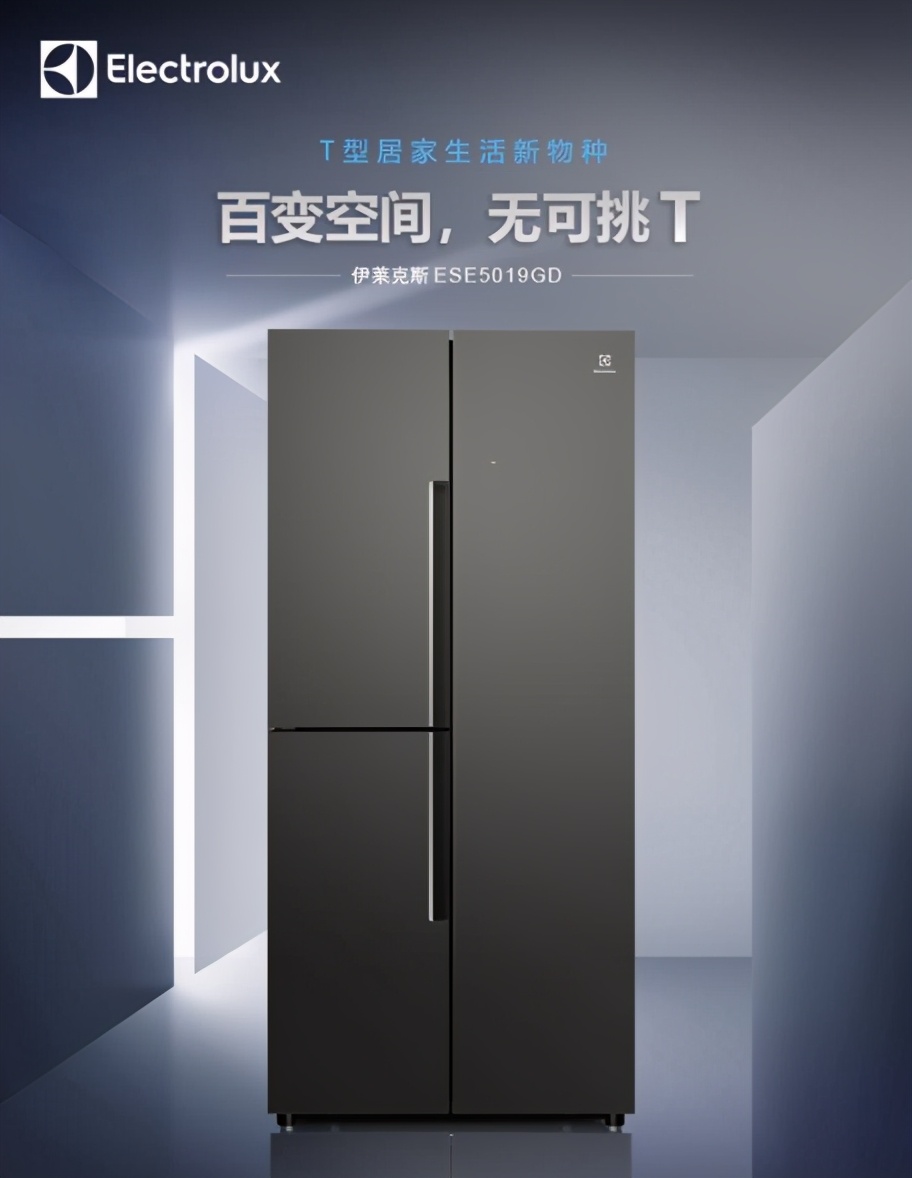 家用伊莱克斯两门冰箱价格及图片,伊莱克斯冰箱t型门