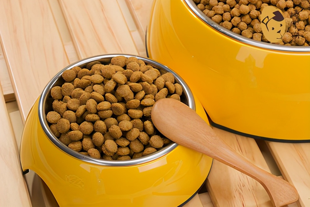 阿拉斯加犬幼犬狗粮如何挑选,怎么挑选狗粮这几点教你挑选