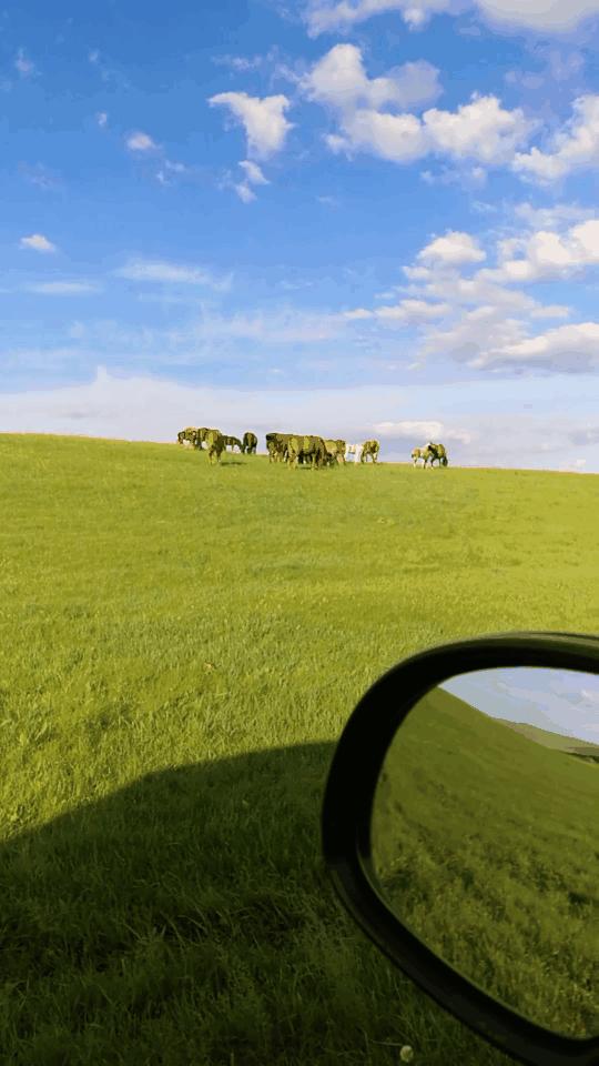 五一假期闺蜜去大兴安岭穷游,闺蜜自驾大草原