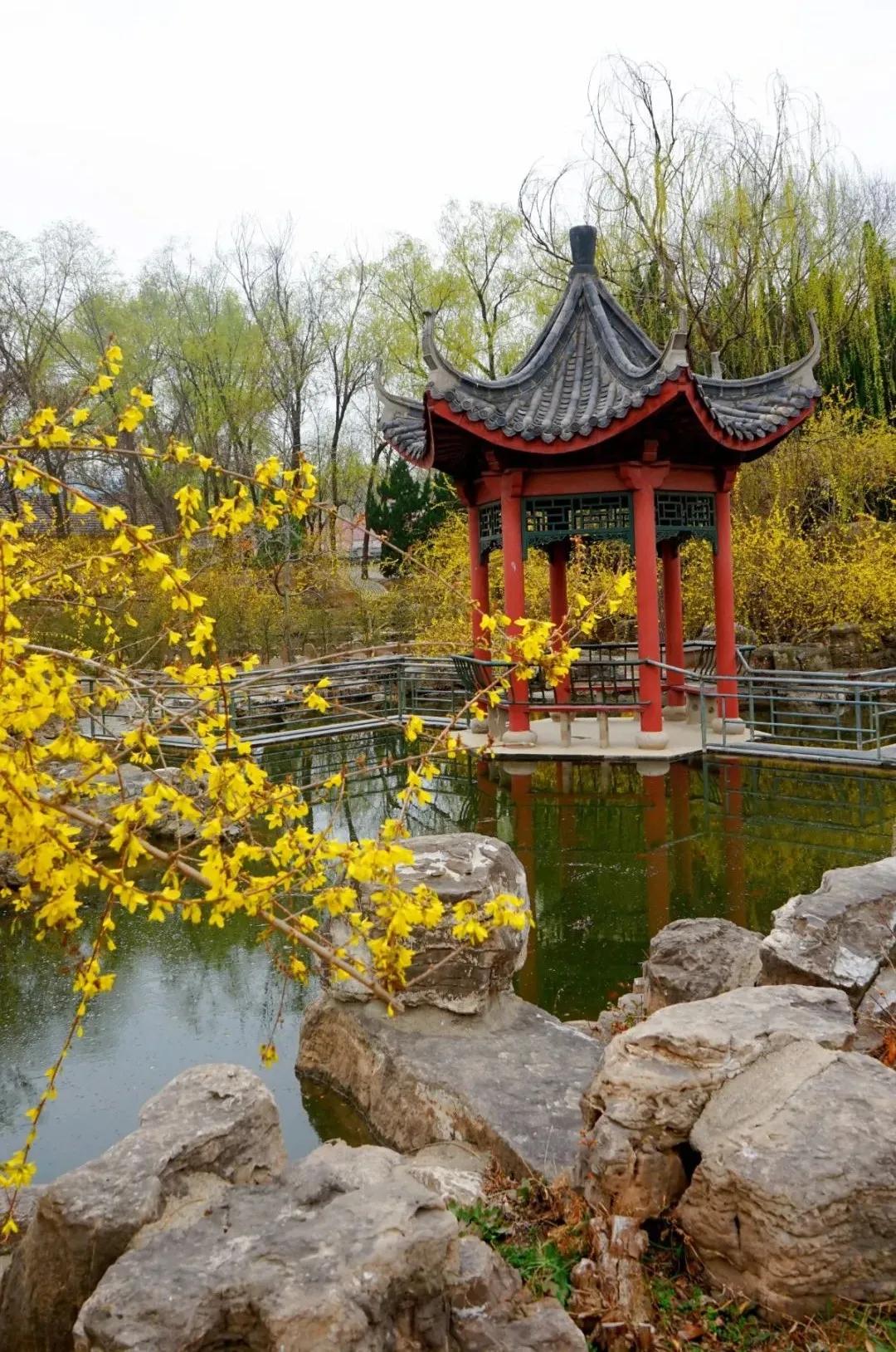 聊城姜堤乐园的门票是多少钱,姜堤乐园玻璃桥