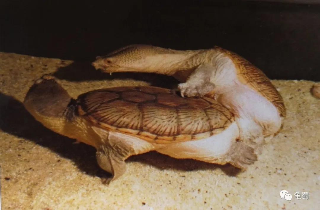 minimonster杭州,minimonster绘本