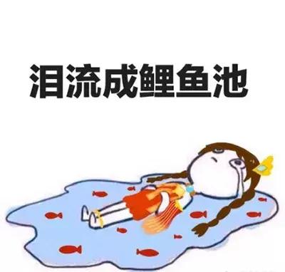 秋冬好用的水乳合集,秋冬水乳排行榜10强国货