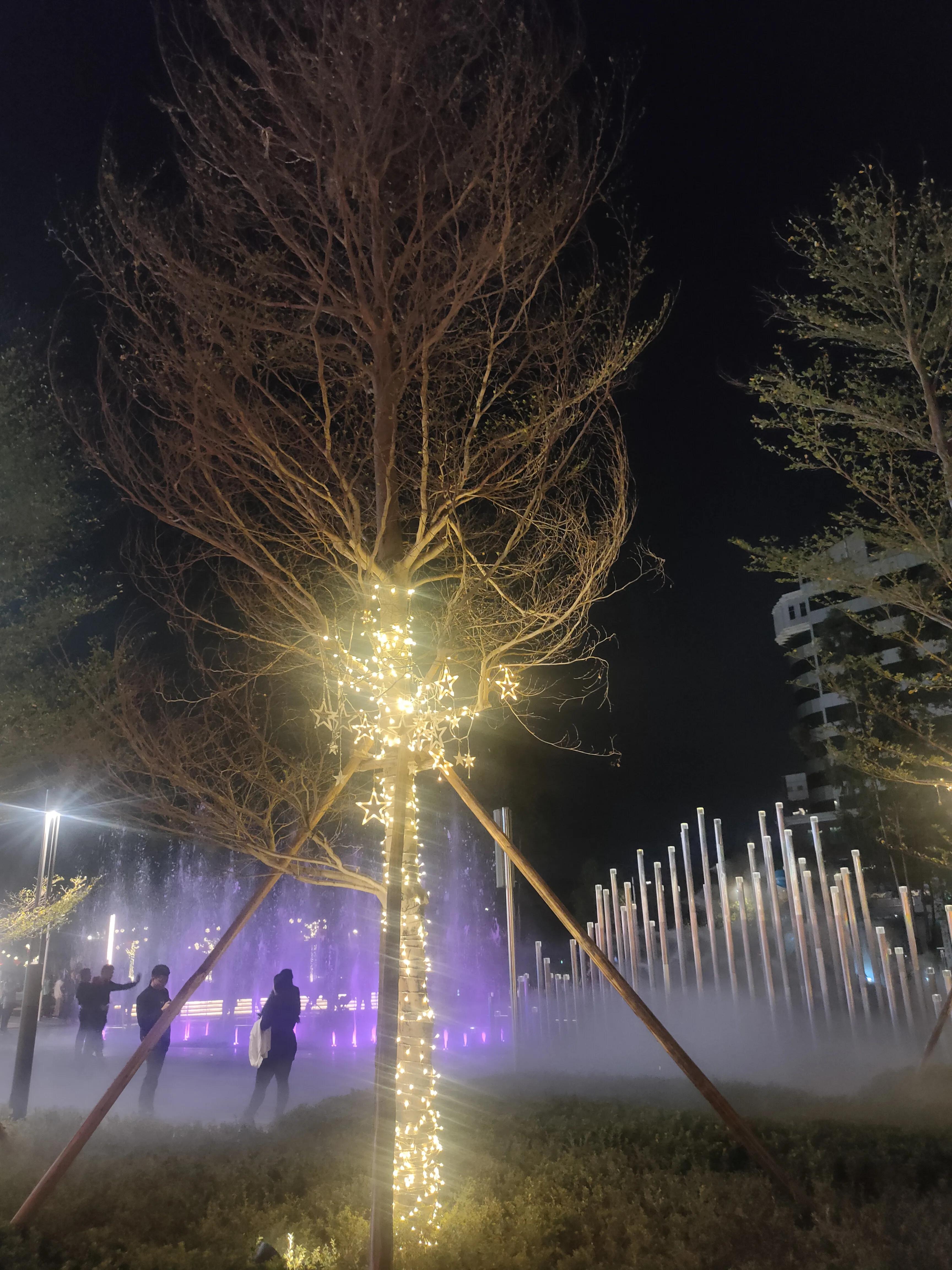 偌大的城市我的栖身之处在何处,偌大的城市容不下一个漂泊的灵魂