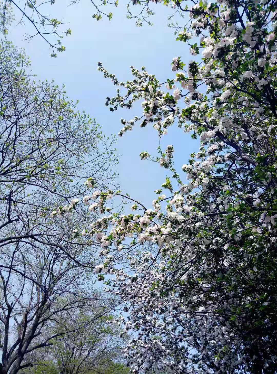 达活泉的春天图片,达活泉的秋景