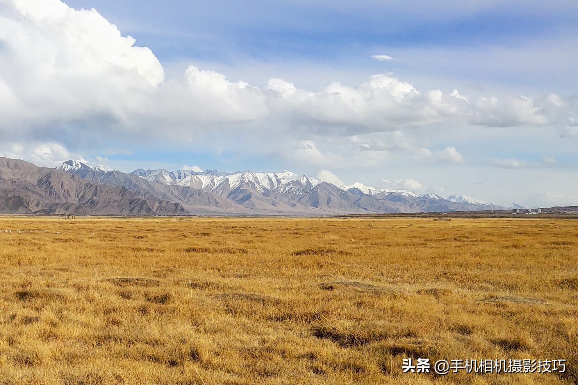 魅族16s拍照技巧,魅族16s拍照