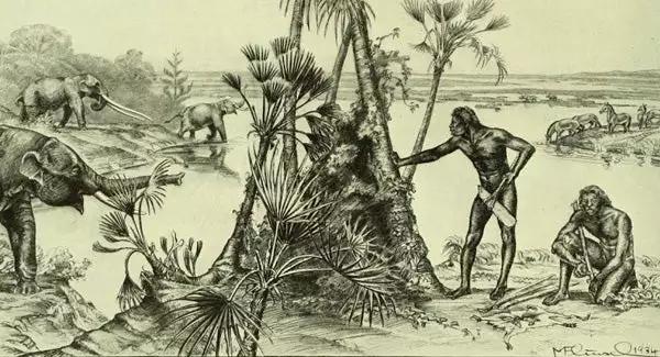 古生物研究史上最大丑闻——皮尔当人*局骗**