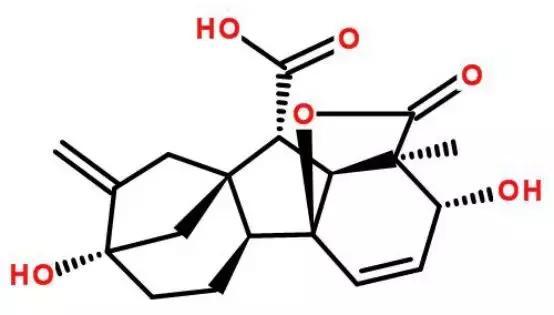 2019葡萄产业发展,葡萄农业发展模式
