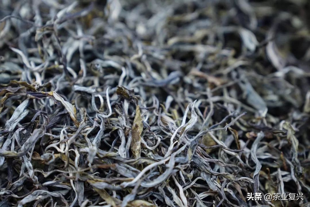 老班章熟茶的口感和特点,老班章熟茶中哪个比较好喝