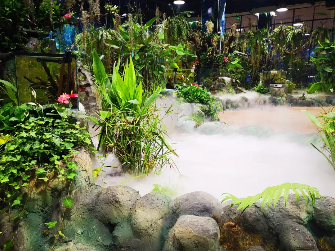 免费！森林物语•虫现江湖，“热带雨林”空降济南！