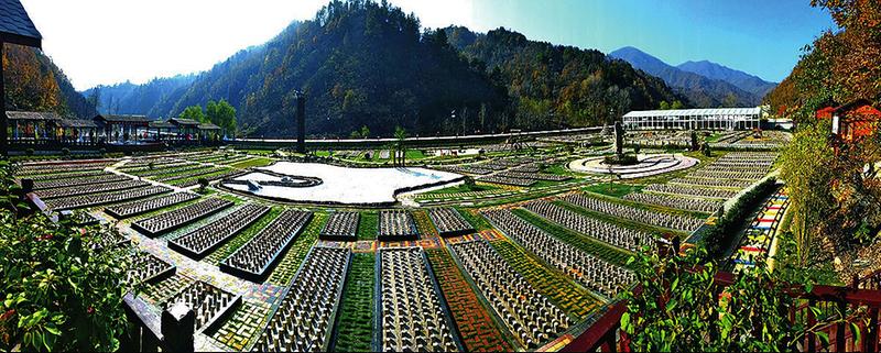 用一句话介绍柞水黑木耳,柞水黑木耳营养价值高吗