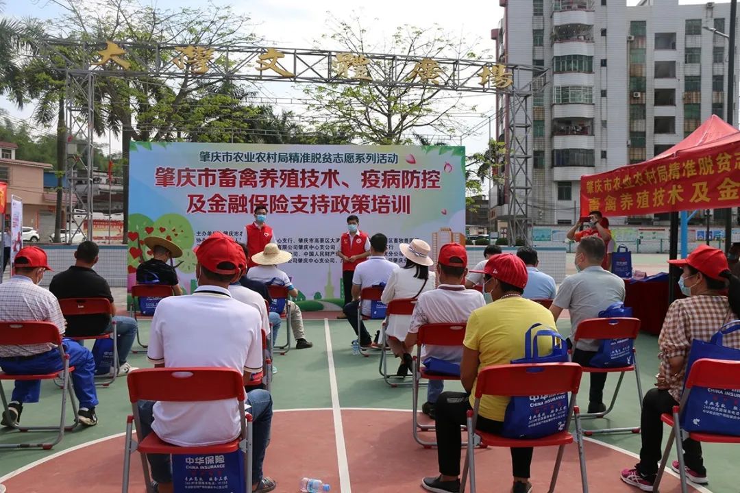 肇庆志愿者们,肇庆志愿者团队