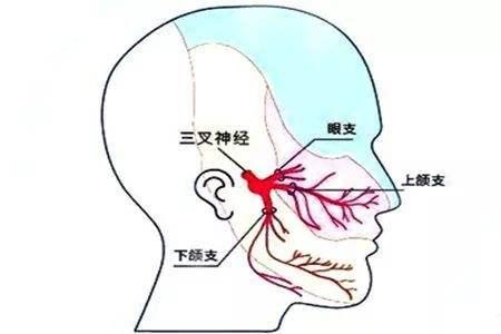 牙痛要警惕,为什么说牙痛是最可怕的