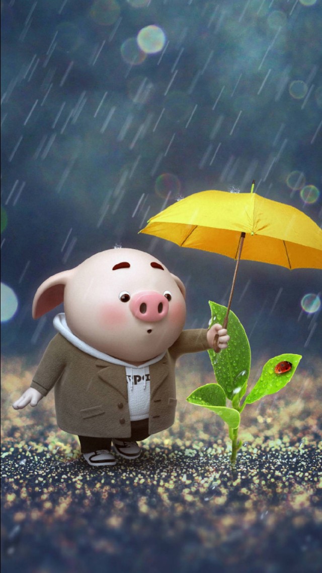 手机壁纸264期｜最近超火的小猪猪壁纸、高清手机壁纸