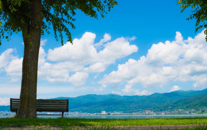 玩转日本京都,玩转日本东京大阪自由行