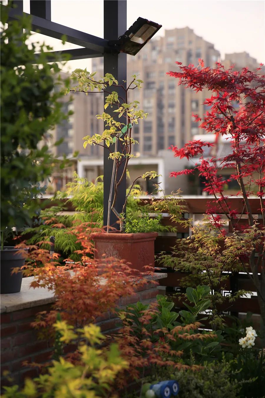 怎样打造露台花园,简单露台花园打造方法