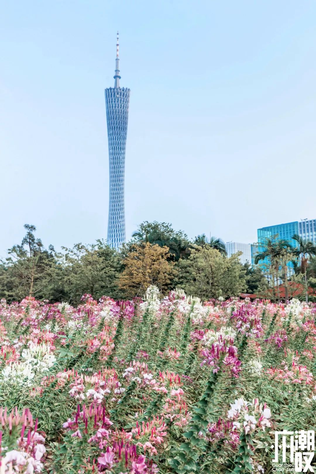 必打卡的宝藏公园,这些宝藏打卡地分分钟让人美到