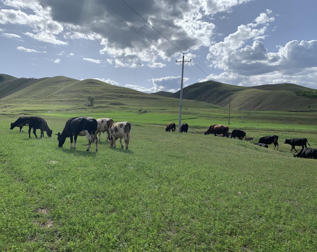 内蒙古马拉松来啦！2021内蒙古赛马场超级马拉松赛火热报名中