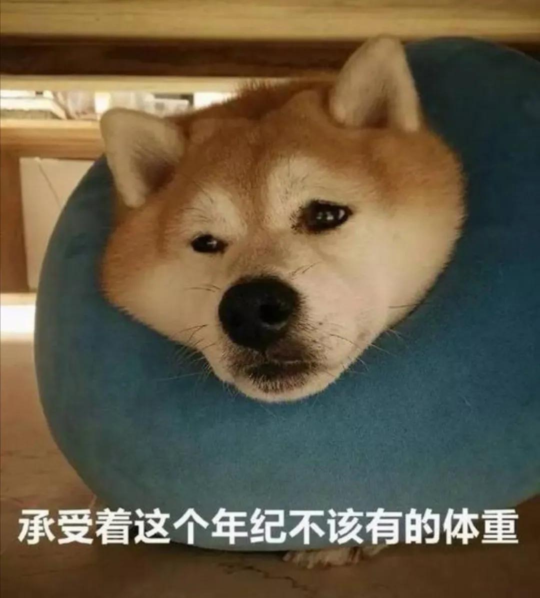 想跟婆婆绝交,我要跟我妈分手要怎么办