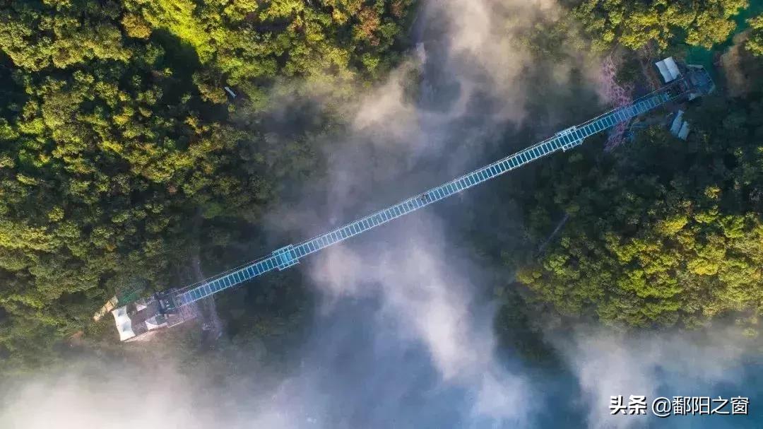 甯備簳椋庢儏杩樻槸甯備簳椋庡厜,甯備簳姘旀伅椋庢櫙