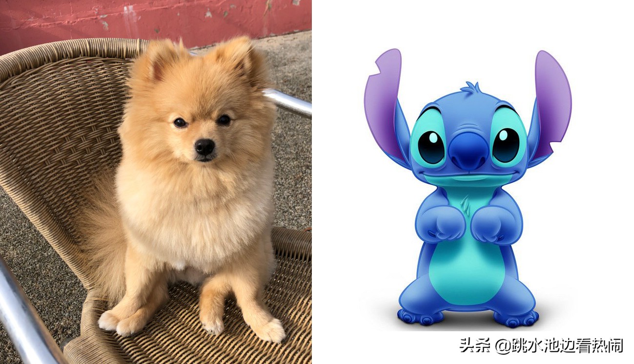 寰峰浗璺虫按闃熷憳瑙嗛,寰峰浗璺虫按鑰佸皢閾滅墝