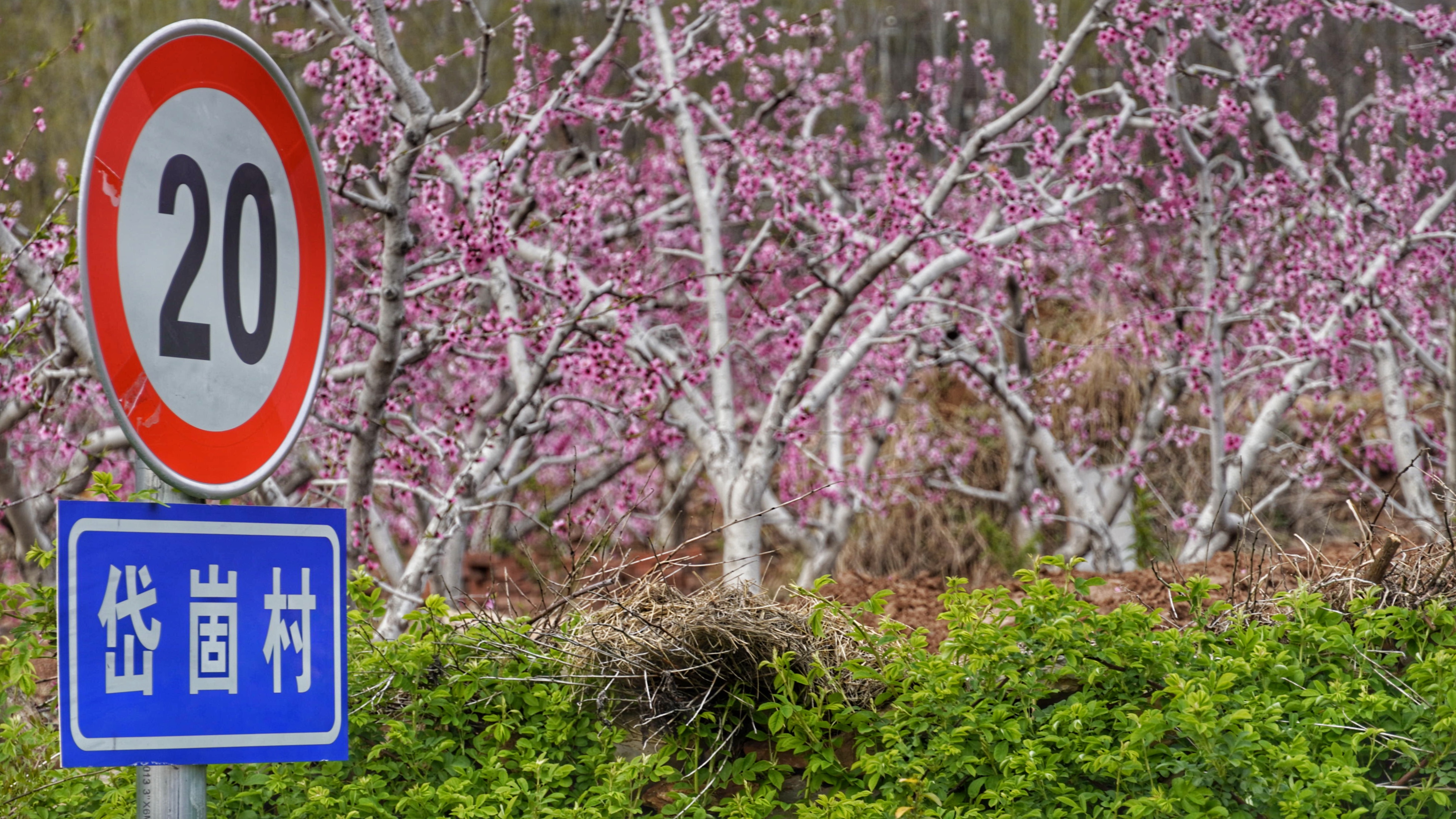 探访沂蒙山,蒙阴县岱崮镇岱崮地貌景区