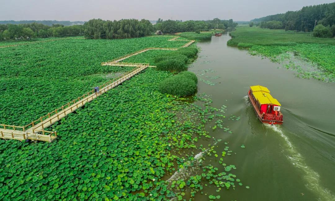 台儿庄适合1-2天短途旅游,趁着假期的闲暇去旅行