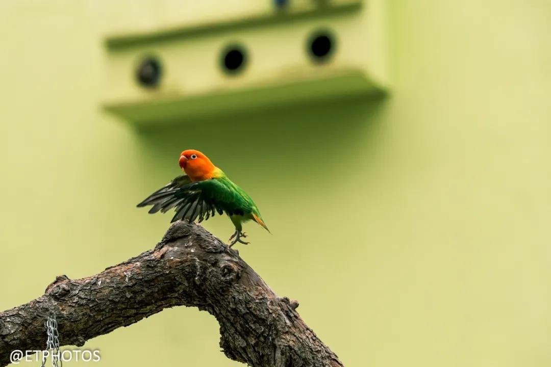 万元内微单相机全画幅,万元以内微单套机推荐