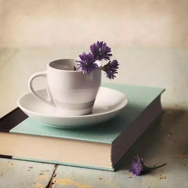 如何回答刁钻古怪的问题,史上最刁钻的问题和最绝妙的回答