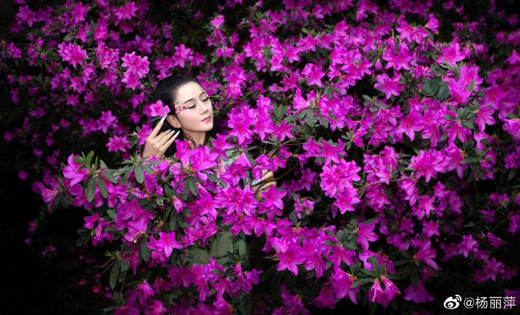 有一种向往叫西双版纳,有一种向往叫诗和远方完整版